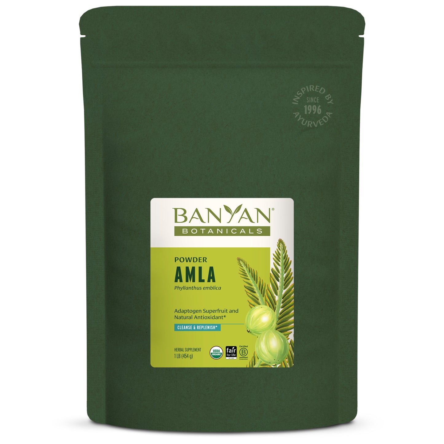Amla Powder 1 lb