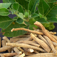 Ashwagandha Root