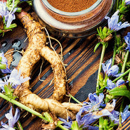 Chicory Root