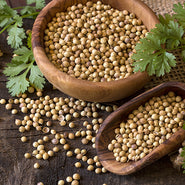 Coriander Seed