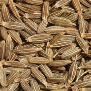 Cumin Seed