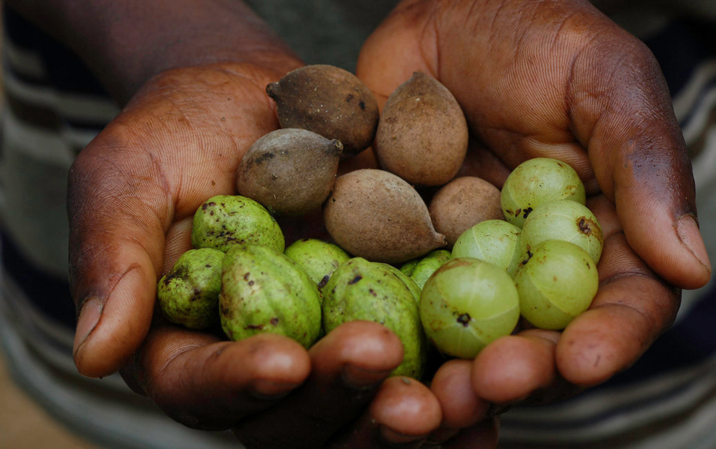 CERTIFIED FAIR FOR LIFE FAIR TRADE