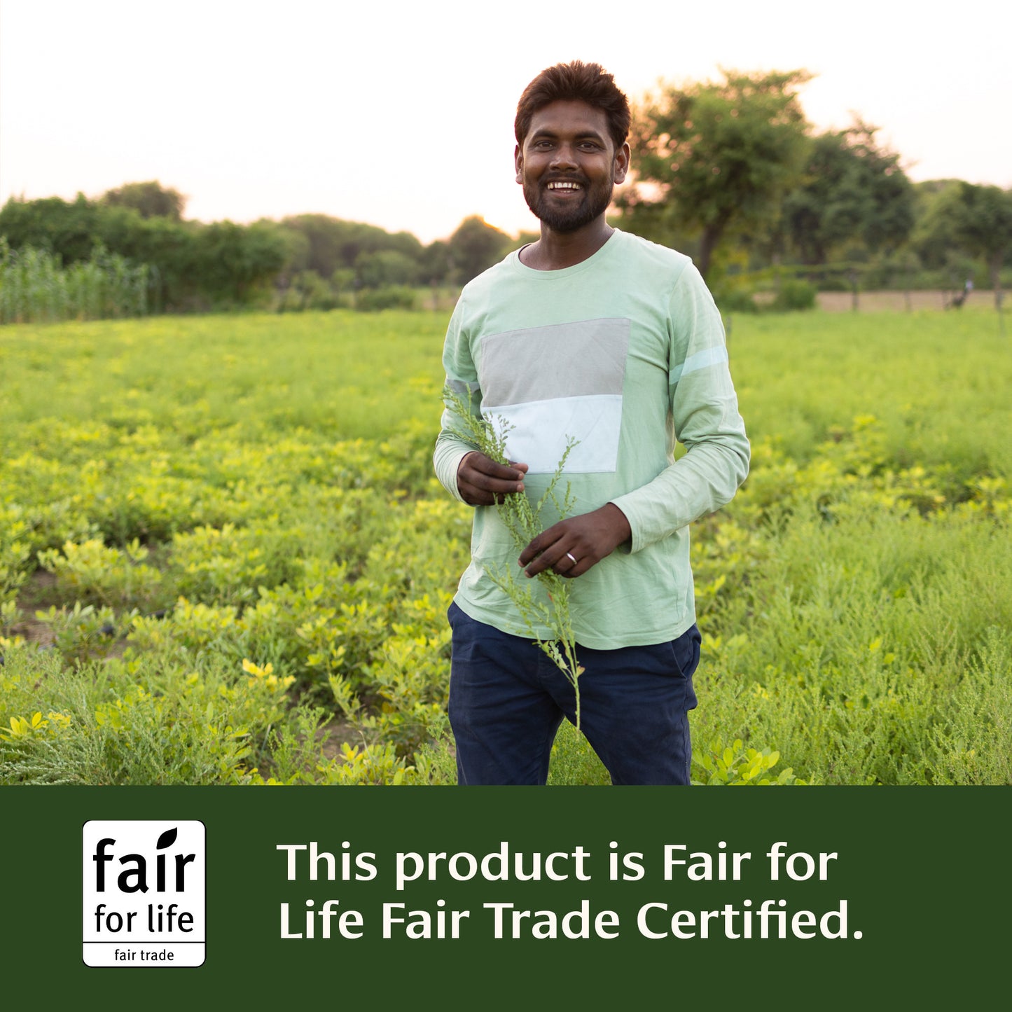 Bhumyamalaki powder is Fair for Life Fair Trade Certified