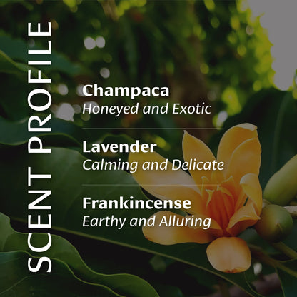 Body Oil Scent profile