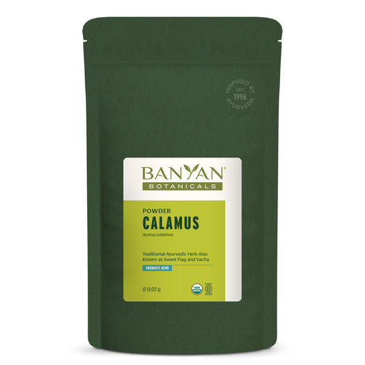 Calamus powder