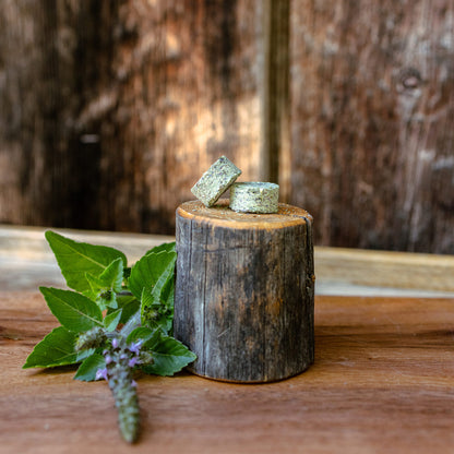 Centered Ritual Tea Medallions on a log