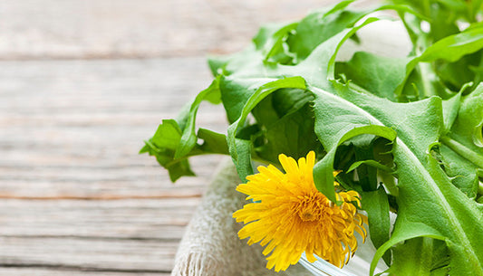 Delectable Spring Dandelion Greens Recipe to Balance Kapha