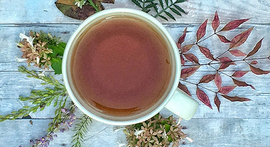 Herbal Sun Tea for Late Summer
