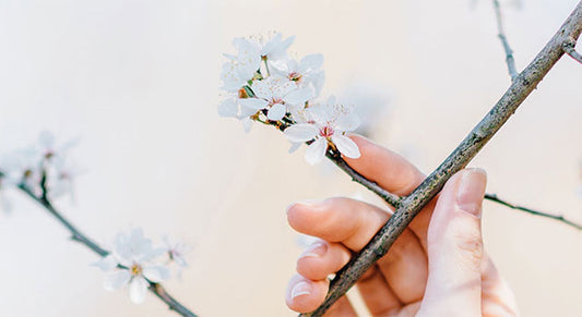 Honoring the Season of Rebirth