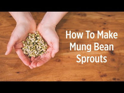 Green Mung Beans