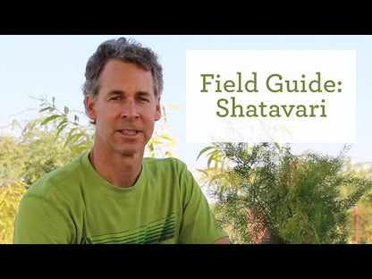 Women's Natural Transition™ tablets