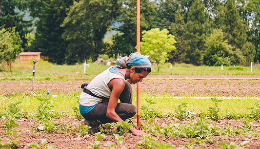 An Immersion into Well-Being at the Living Ayurveda Internship