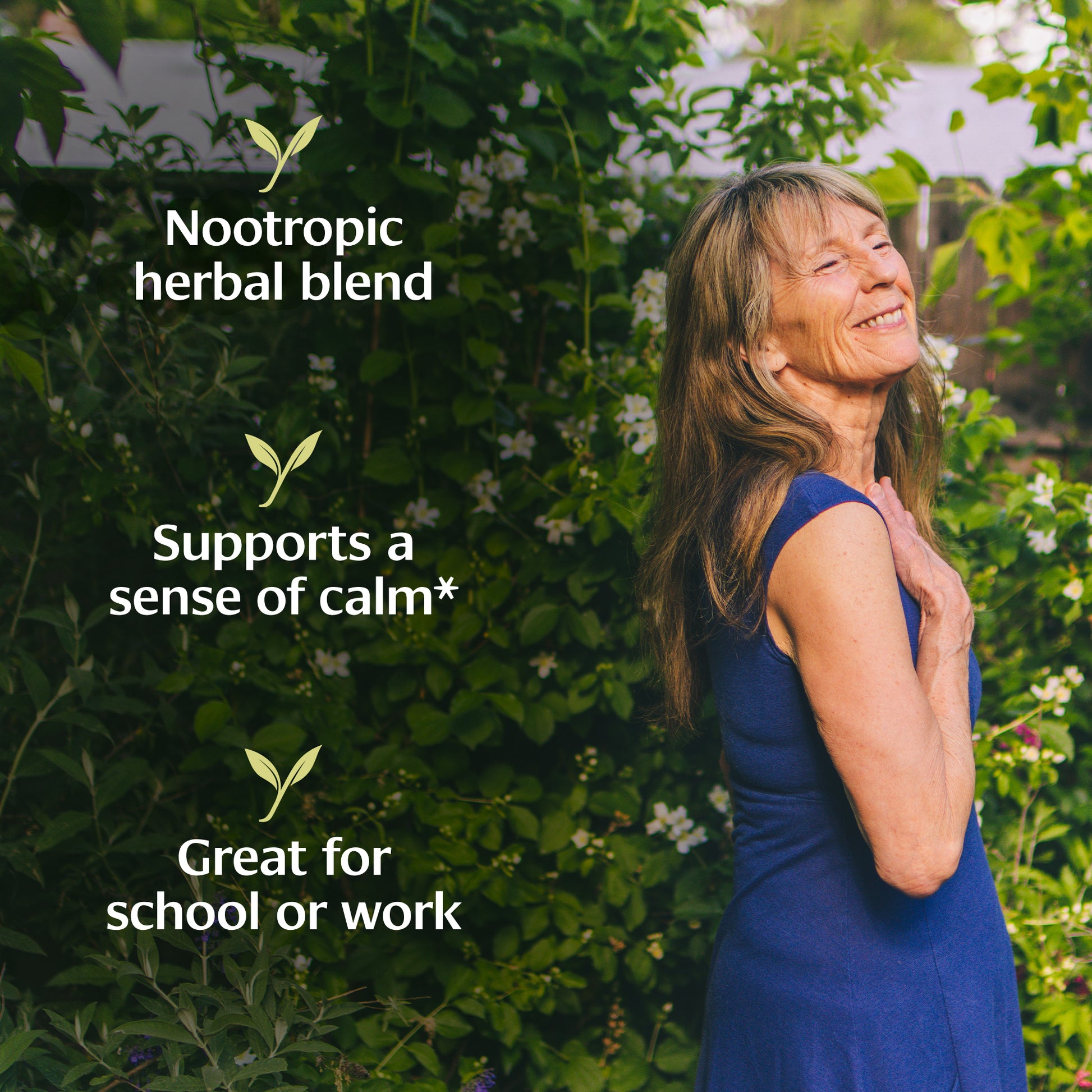 Mental Clarity Tablet Benefits