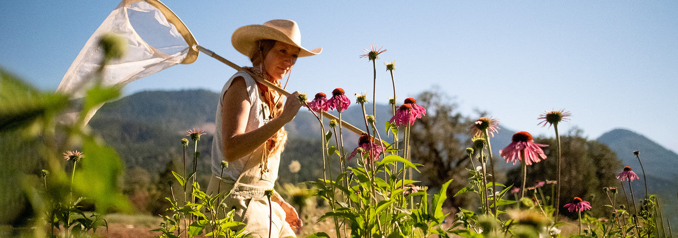 Protecting Pollinators: Our Research Partnership with Bee Girl Organization
