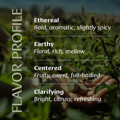 Ritual Tulsi™ Tea Box