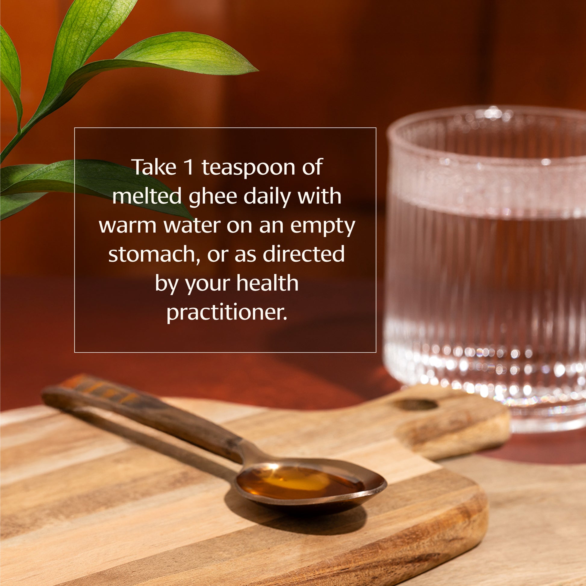 Sidha Soma Herbal Ghees How to Use