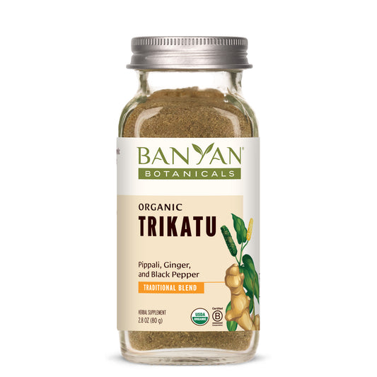 spice jar: Glass spice jar of Trikatu powder on white background