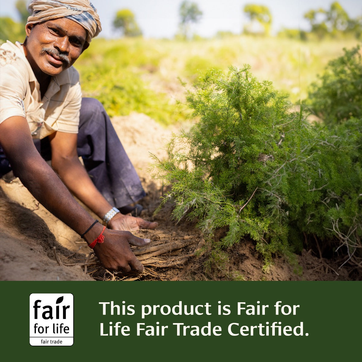 Women's Natural Transition Tablets Fair for Life Fair Trade Certified