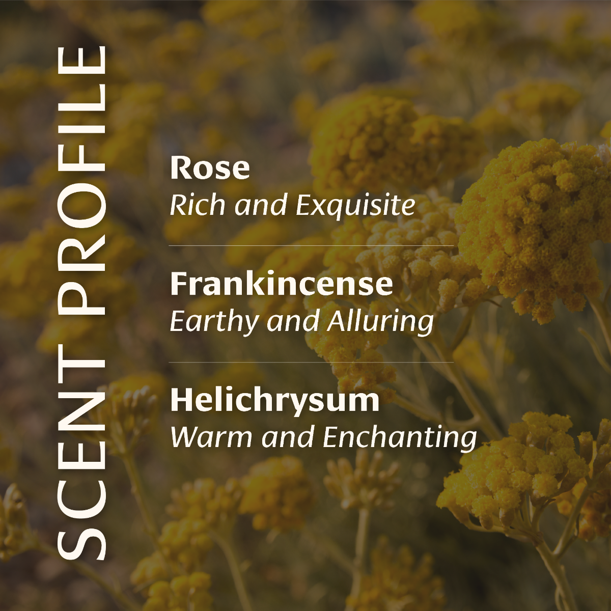 Face Oil Truly Clean Skincare scent profile